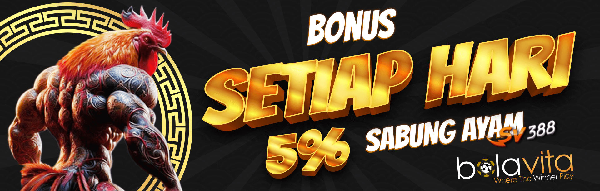 Bonus 5% Setiap Hari Sabung Ayam Online SV388